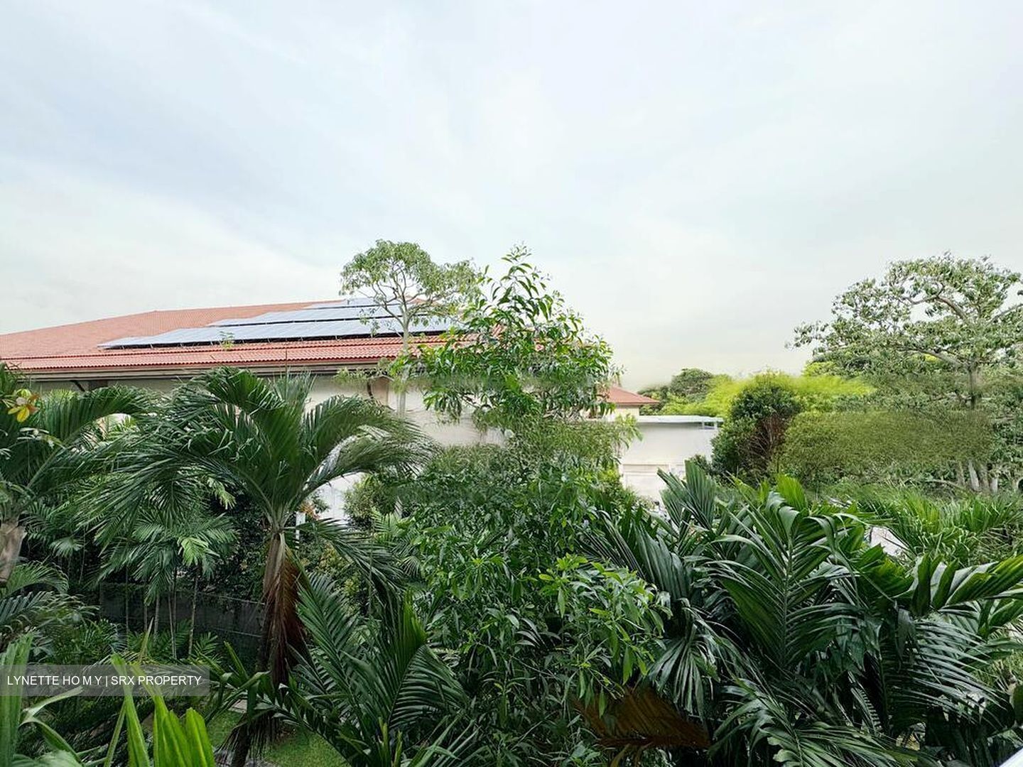 Changi Green (D16), Condominium #456529991